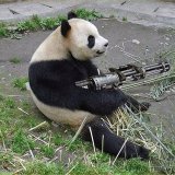 WWF России